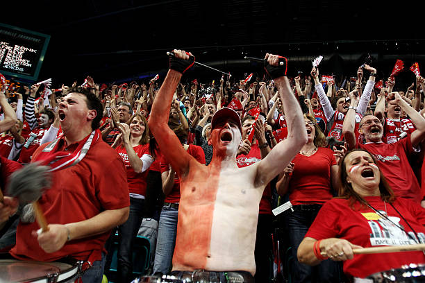 体系完美结 体系完美结